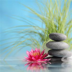 Flower in Water 